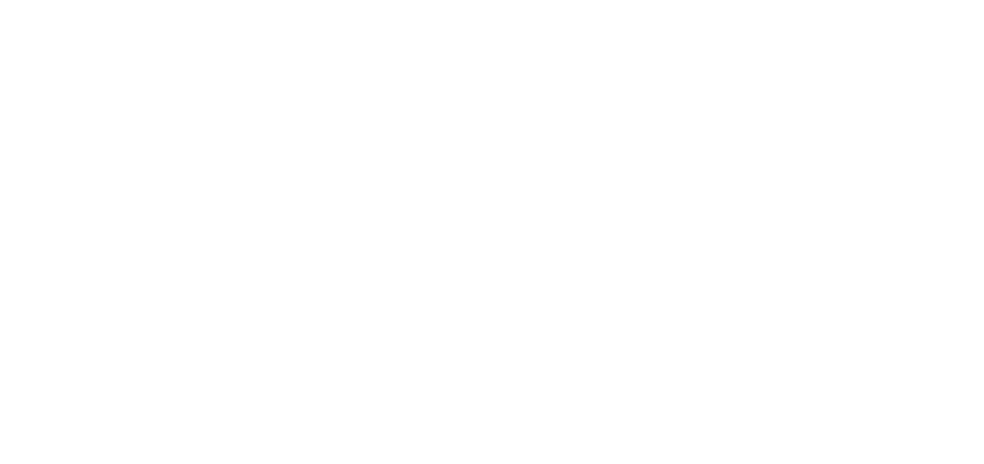 Perfect Panel Paintless Dent Repair logo